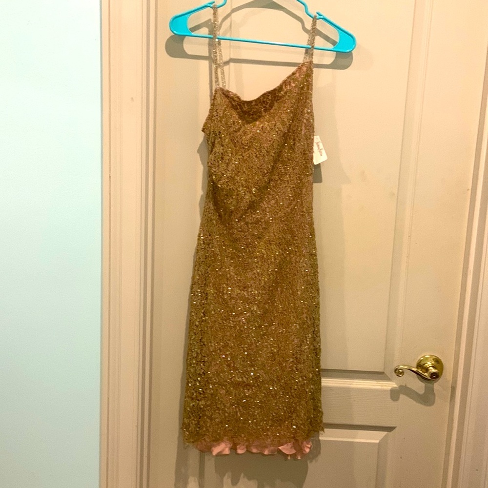 Size small dusky pink cocktail dress, with sage and sequin overlay.